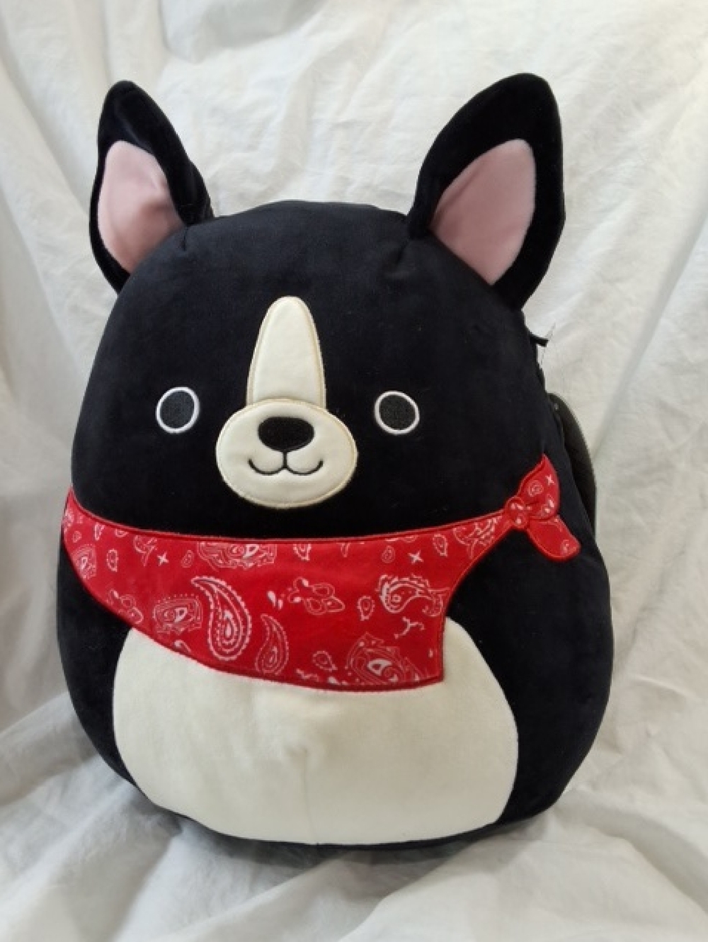 Squishmallows 12 " Teddy the Boston Terrier With Red Bandana, NWT
